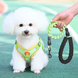 Vest-Style Dog Leash for Small Dogs, Teddy, Bichon, Pomeranian Puppies, Harness, Pet Dog Supplies