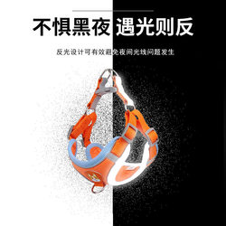 Dog Leash Vest-Style Harness for Puppies and Small Dogs, Bichon, Teddy, Pomeranian Single-Strap Dog Leash