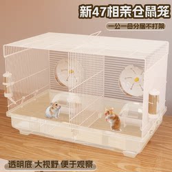 Double-Person Hamster Cage, Golden Bear, One-Male, One-Male, Anti-Gnawing, Anti-Jailbreak, Big-Phase, Special Cage House