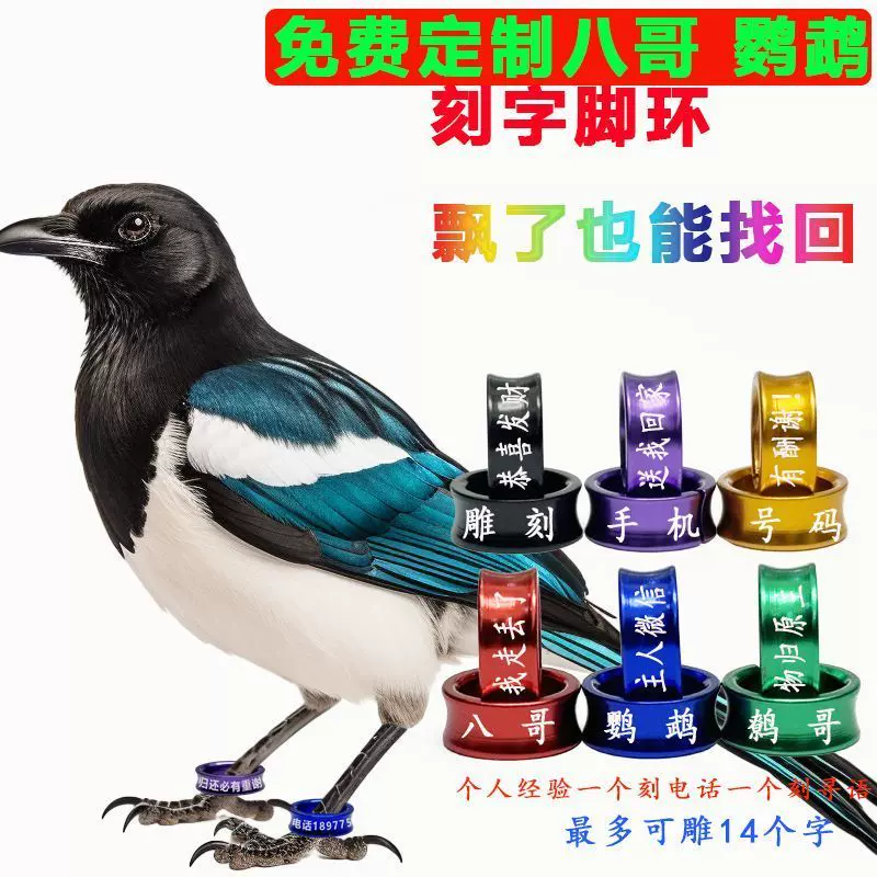 鸟脚环定制刻字免费雕刻八哥脚环玄凤虎皮牡丹鸟