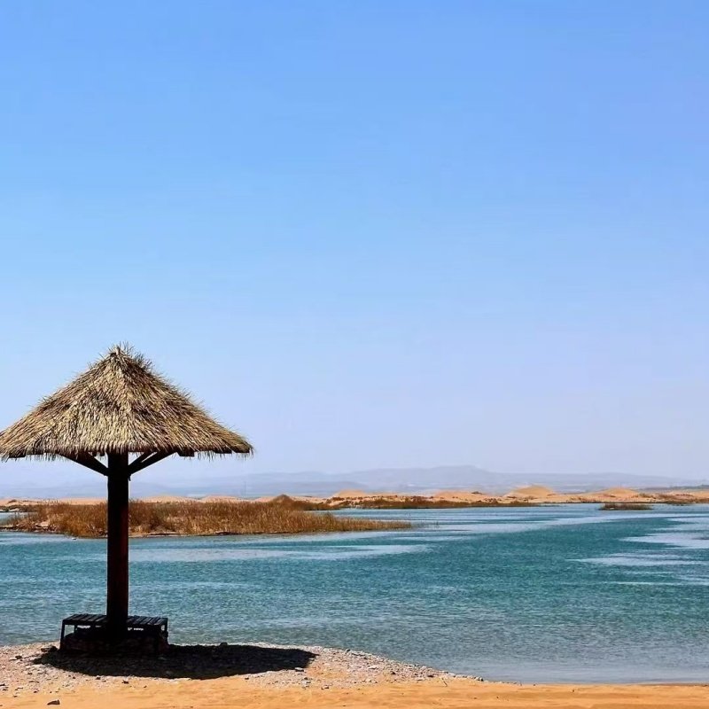 乌海湖拉僧庙一日游银川市区上门接体验民族服饰