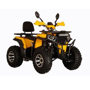 New ATV Four-stroke Four-stroke Gasoline 110cc Agricultural Motorcycle Off-Road Four-wheel (SL110X2)