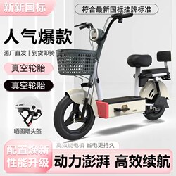 New National Standard Two-Wheeled Electric Vehicle, Small Car for Men and Women, Adult Electric Bicycle, Can Be Registered as a Mobility Scooter, Battery-Powered Vehicle