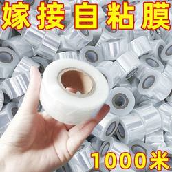 Self-adhesive transparent PE sealing film small roll CM wrapping film industrial cling film packaging grafting special stretch grafting film