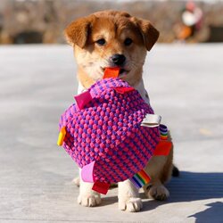 Dog Sound Toy Pet Training Soft Ball Throwing Bell Toy Kitten and Dog Chew Rope Ball Durable Bite-Resistant Teeth Grinding Self-Entertainment Boredom Relief