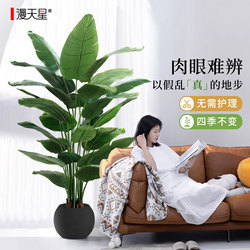 Bird of Paradise Artificial Green Plant High-End Light Luxury Bionic Flower Living Room Large Indoor Potted Plant Decoration Tree Fake Plant