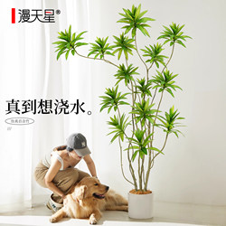 Simulated Green Plant Lily Bamboo, High-End Large-Scale Bionic Green Plant, Light Luxury Atmosphere, Indoor Living Room Decoration Ornaments