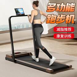Treadmill for Home Use, Small Walking Machine, Gym Indoor 2024 New Model, Foldable, Silent, Noiseless