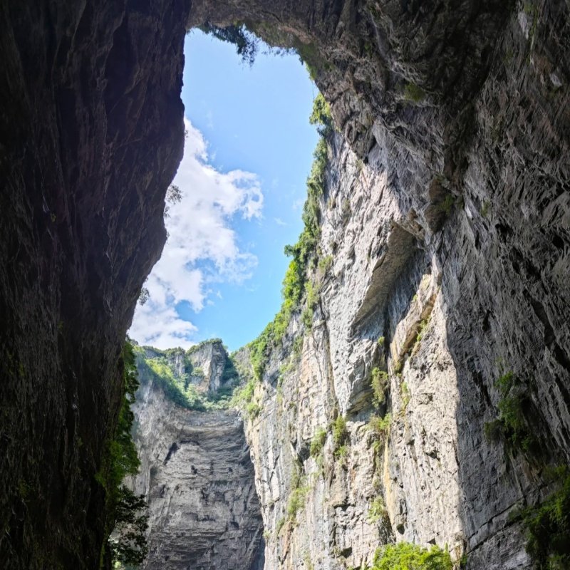 武隆天生三桥/仙女山/九黎城/龚滩古镇/乌江画廊跟团游纯玩小团