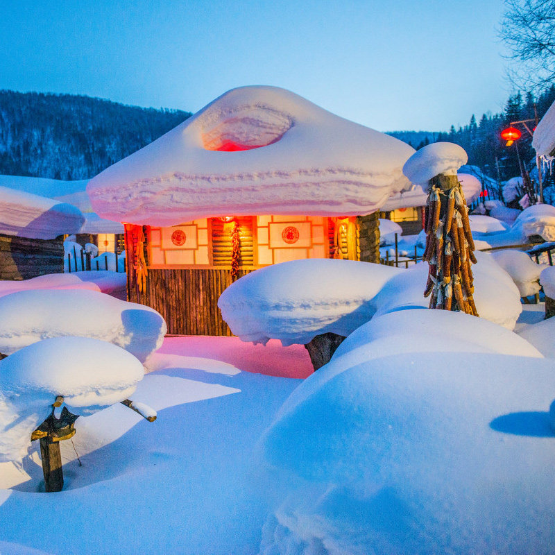 东北哈尔滨旅游 雪乡延吉长白山冰雪大世界7天6晚跟团游滑雪温泉