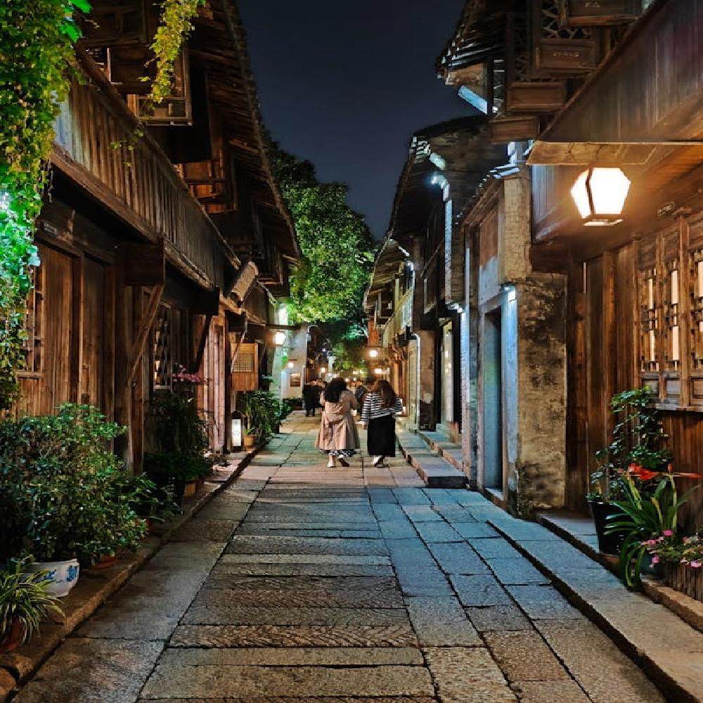 【江南水乡】杭州+乌镇3天2晚私家团