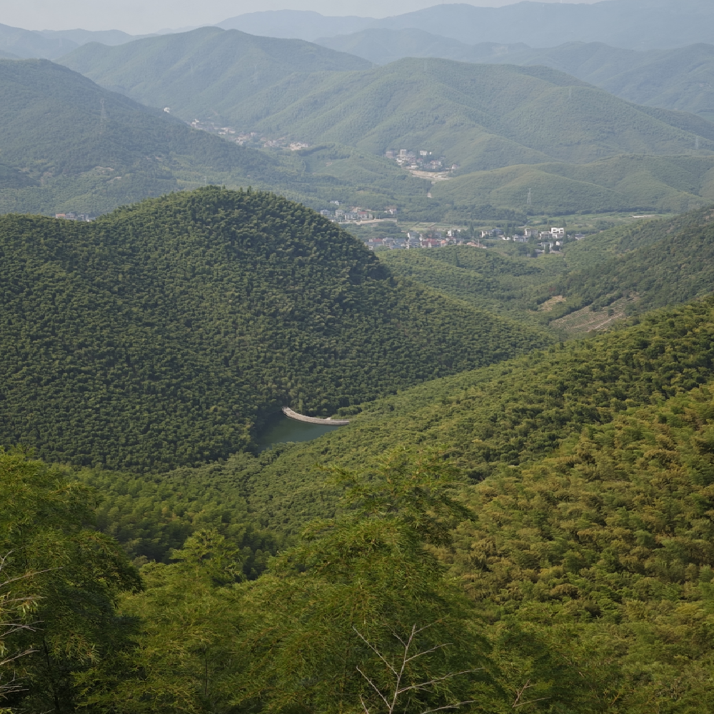 【休闲度假】杭州+莫干山4天3晚私家团