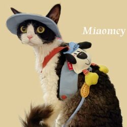 Meow Meow German 3D Doll Harness Leash for Hairless Cats Denim Harness Cat Outdoor Clothing
