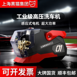 Shanghai Black Cat Car Washing Machine Car Washing Machine 220V Ultra High Pressure High Power Fully Automatic Washing Machine Car Brush Pump Washing Wheat
