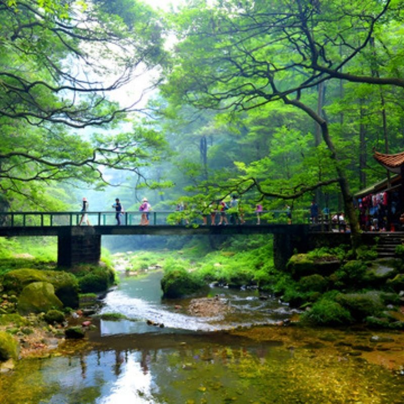 5天4晚张家界私家团住如家+芙蓉镇+专属用车+一次被宠坏的旅行