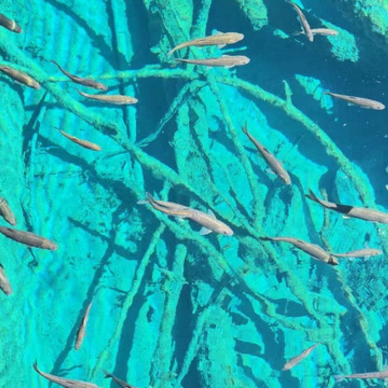 7天6晚成都私家团住蓉逸精品+金沙遗址+专属用车一次被宠坏的旅行