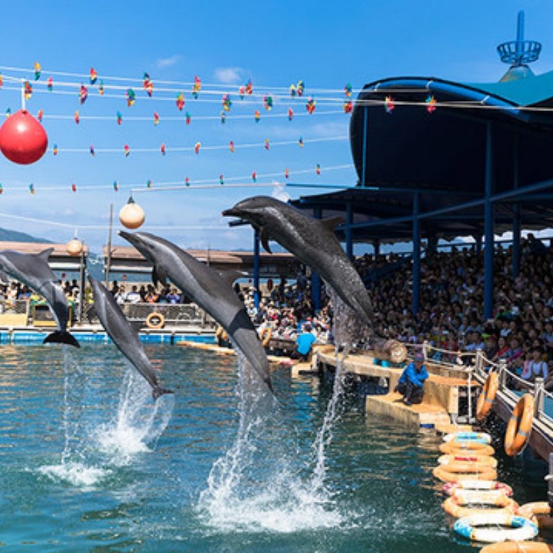 4天3晚万宁市私家团住宝发胜意+分界洲+专属用车一次被宠坏的旅行