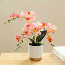Simulated Phalaenopsis potted plants, artificial flower ornaments, indoor living room table decorations, supermarket display shelves, bonsai ornaments