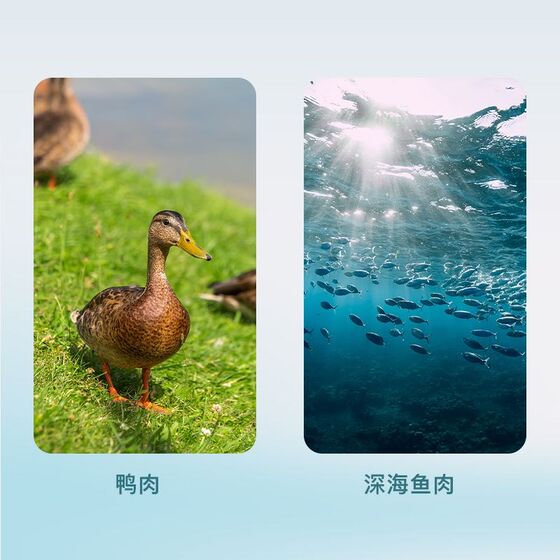 Peterburg stray cat fresh meat cat food 10*0.5kg is equipped with full -price nutritional kittens to become cat full -stage main food universal 1*0.5kg
