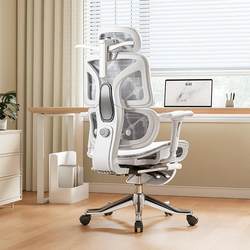 Ergonomic Chair, Office Chair, Comfortable for Long Sitting, Computer Chair, Executive Chair, Lumbar Support, Home Chair, Gaming Chair, Breathable Chair, Rolling Chair