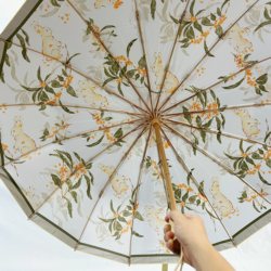 16-Bone Umbrella for Women, Foldableable Large, Wind-Resistant, Sunny or Rainy, Sun Protection and Uv Protection