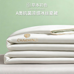 Summer Class a Double-Sided Cooling Ice Silk Summer Quilt Set of Four, Machine Washable, Household Single-Person Air-Conditioning Quilt, Thin Quilt 1