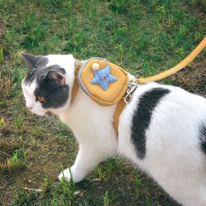Pet cat rope traction rope backpack chest back -back slippery cat rope out to small school bag kitten puppet blue cat supplies
