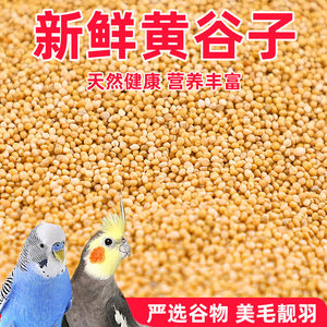 
Peony millet millet feed Xuanfeng feed grain tiger skin bird food with shell new yellow special bird food