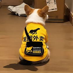 Dog Outfit for Spring and Summer: Thin, Funny, and Cute Clothing for Corgis, Bichons, Teddy Dogs, and Small Dogs