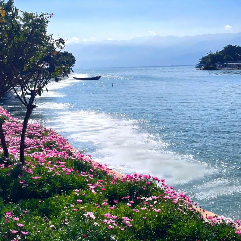 潮玩网红游法昆明大理丽江西双版纳野象谷玉龙雪山8天7晚跟团游