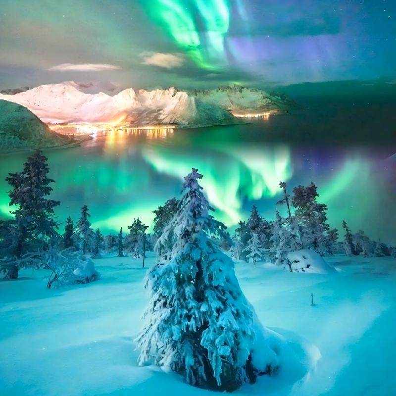 2-8人小团索菲亚教堂-网红大雪人-中央大街-北极村-圣诞村6日游