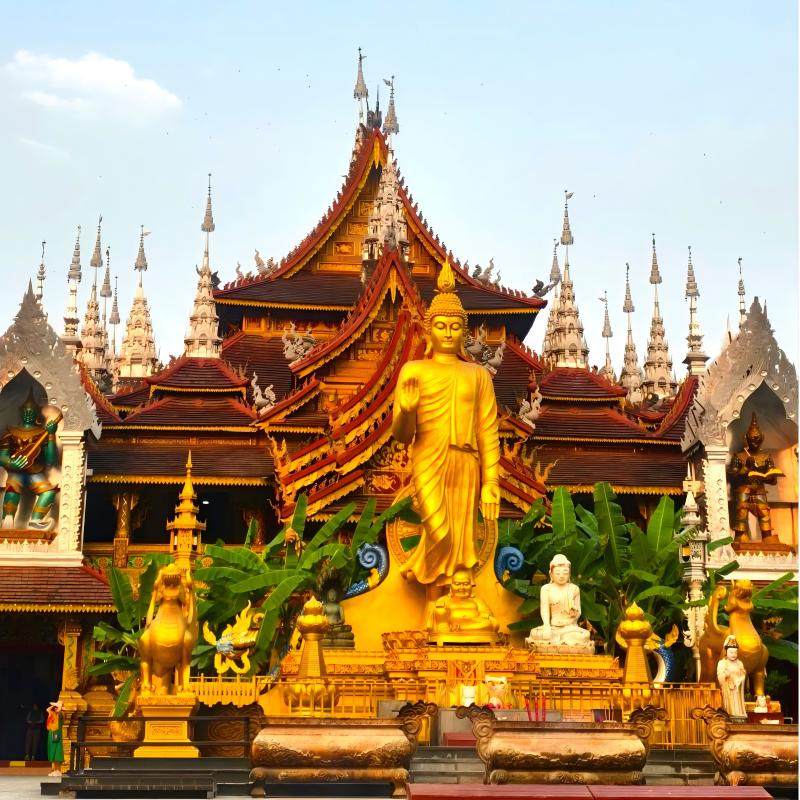 小众玩法+独家策划安排西双版纳基诺山徒步曼听公园5天4晚私家团