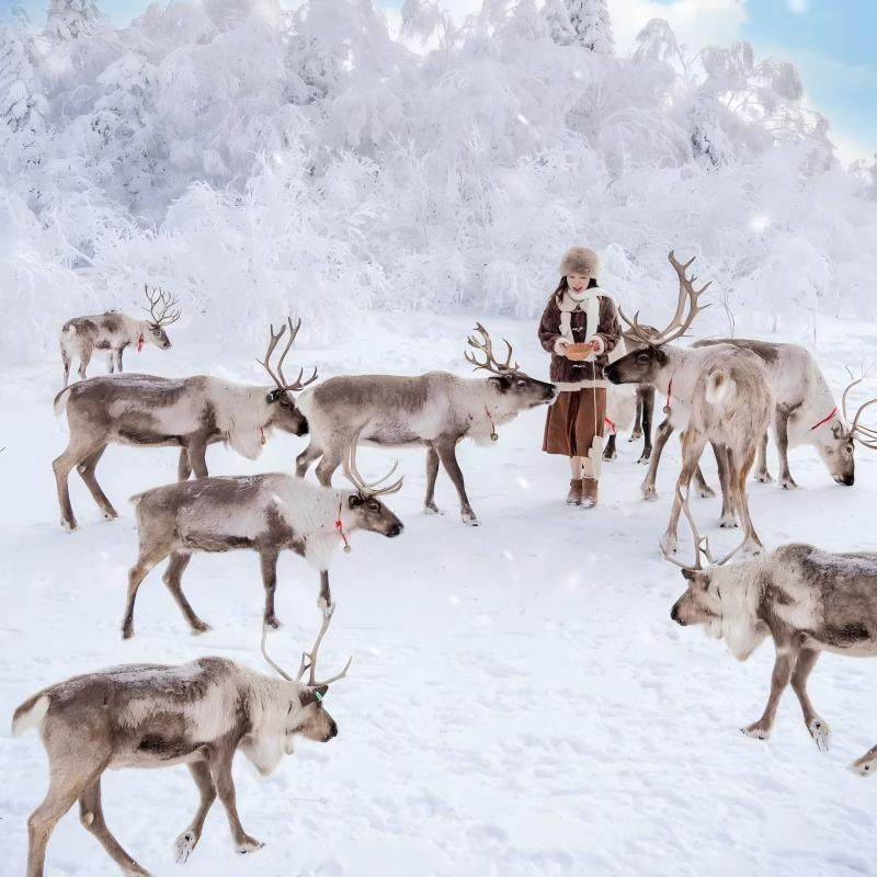 2-8人小团索菲亚教堂-网红大雪人-中央大街-北极村-圣诞村6日游