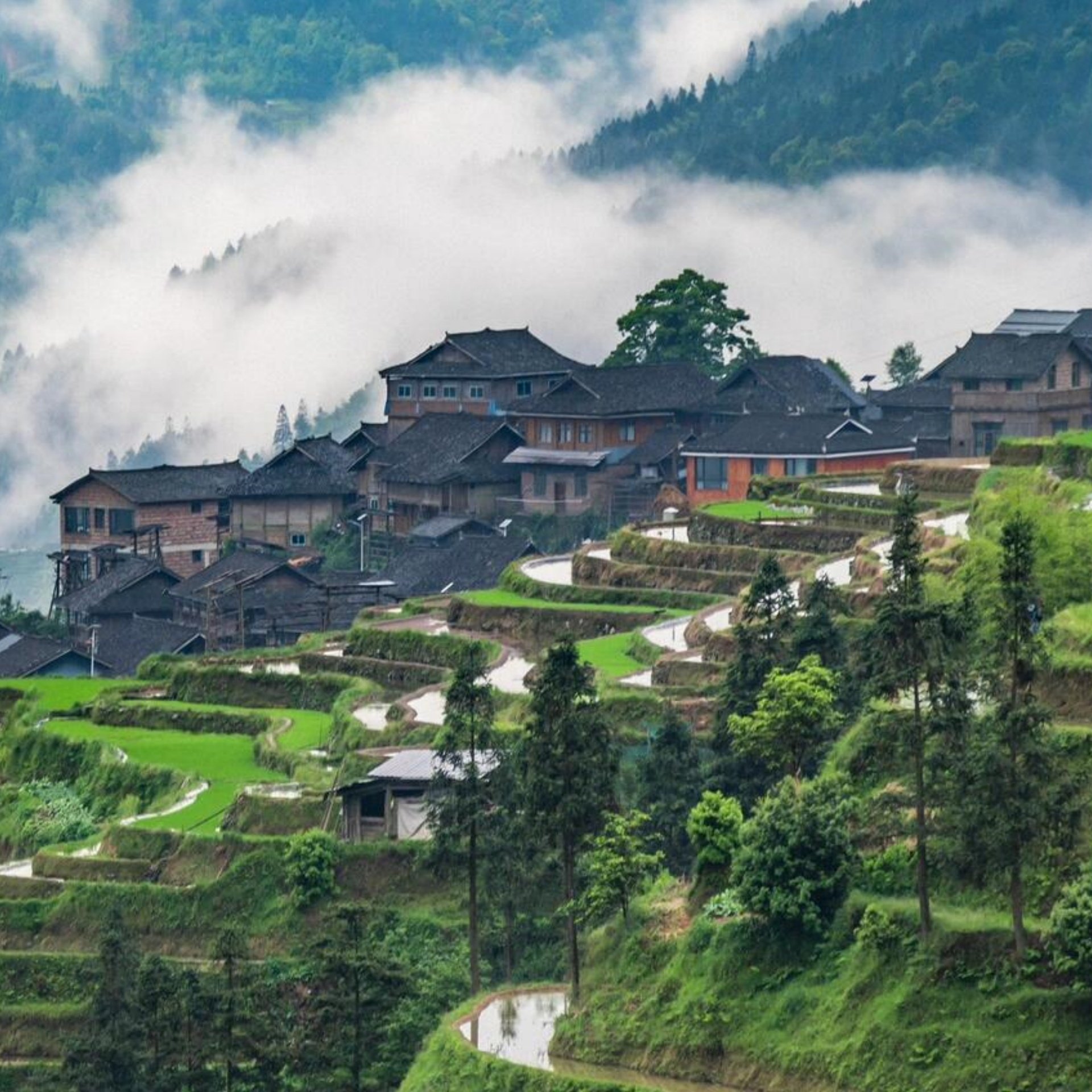 贵州从江/肇兴侗寨至加榜梯田一日游 2-6人团含门票包车纯玩旅游