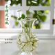 Handmade glass vases, creative living room decorations, transparent hydroponic flower arrangements, home and garden decoration