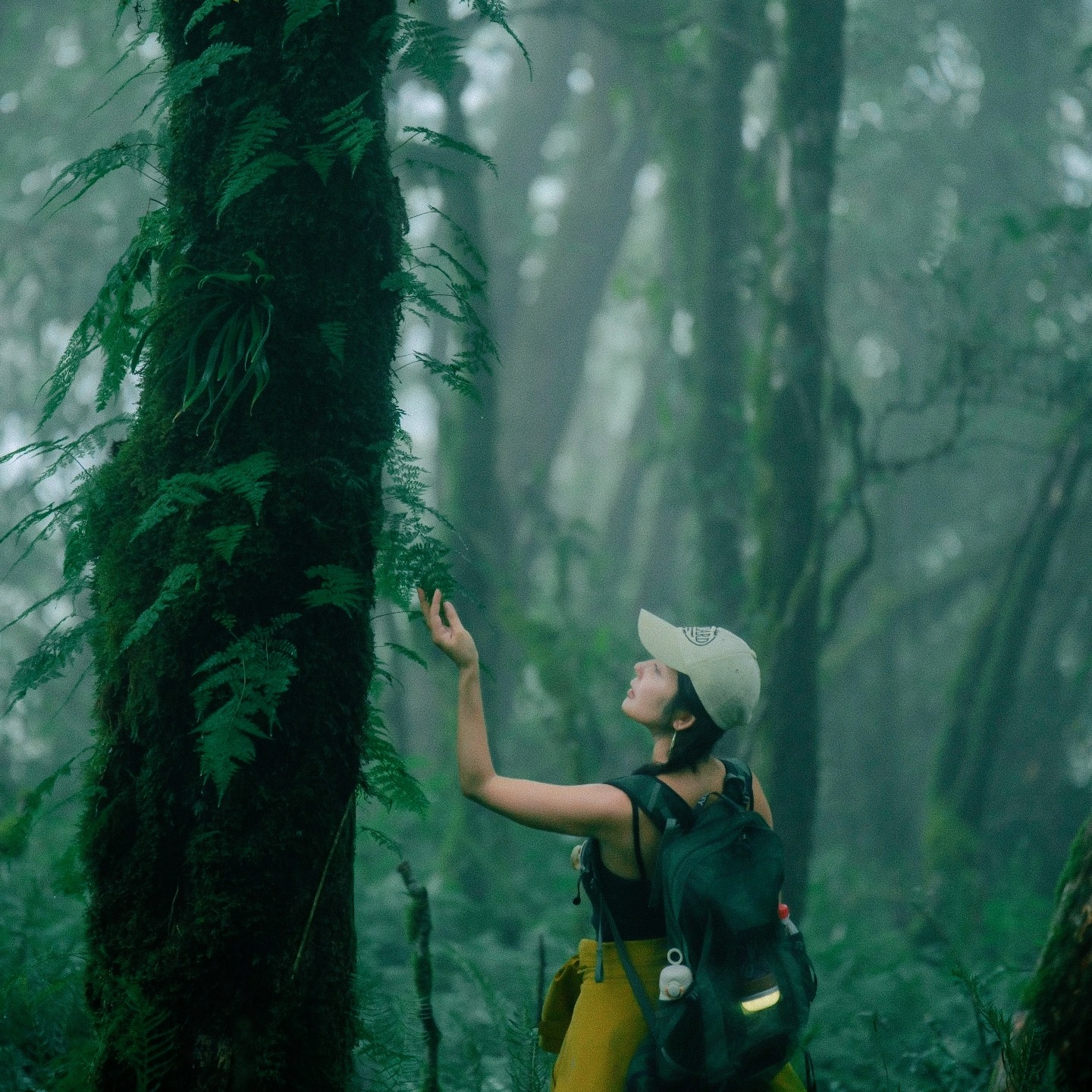 【飞猪臻选商家】昆明腾冲6天5晚纯玩私家团高黎贡山徒步天然温泉