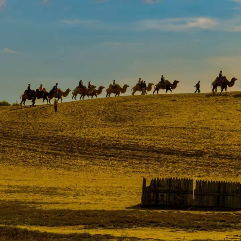 1日游银川沙湖+水洞沟(银川市内上门接)