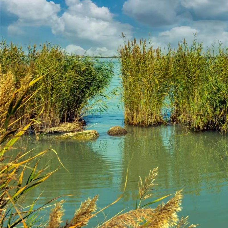 1日游银川沙湖+水洞沟(银川市内上门接)
