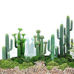 Nordic simulated plant cactus column potted plant desert tropical photography landscape living room ornament simulated green plant cactus