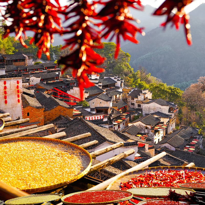 纯玩含高铁 安徽黄山旅游婺源篁岭千岛湖游船宏村5天4晚跟团游