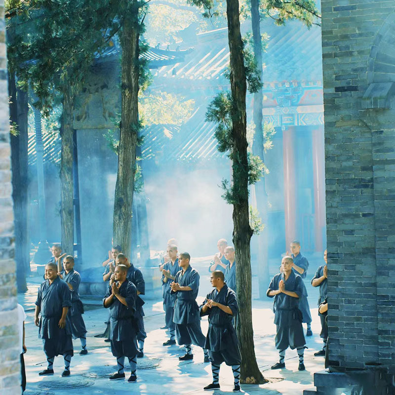 纯玩含机票 河南旅游郑州洛阳老君山少林寺龙门石窟5天4晚跟团游