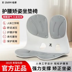 Ergonomic Lumbar Support Cushion for Posture Correction, Office Chair Back Support for Prolonged Sitting