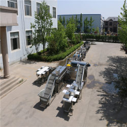 Vegetable cleaning equipment Fruit and vegetable bubble cleaning machine Central kitchen vegetable processing equipment Lotus root food grade