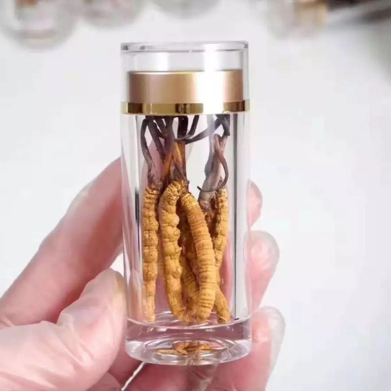 常吃冬虫夏草提升精力抗疲劳,越来越健康(图6) 常吃冬虫夏草提升精力抗疲劳,越来越健康(图6)