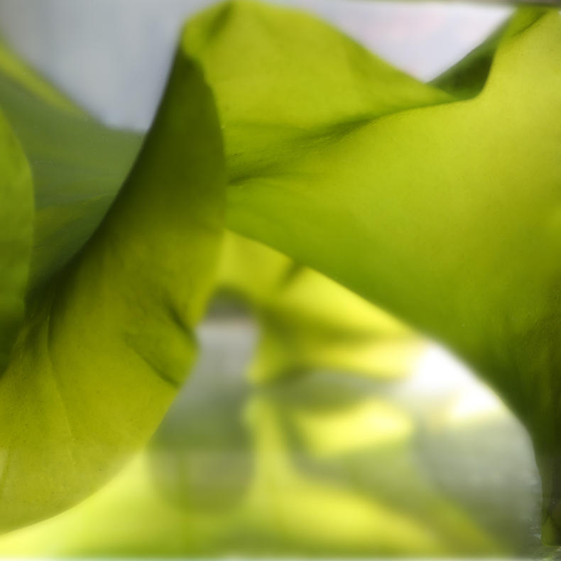 常吃这四种食物,让你大脑更加聪明(图7) 常吃这四种食物,让你大脑更加聪明(图7)