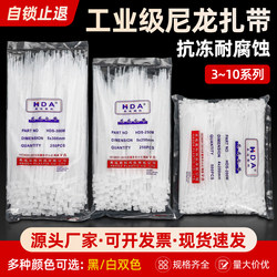 Nylon Cable Ties, Plastic Binding Straps, Self-Locking Strapping Straps, Dog Strangulation Buckle 4X200 Tensioner, Fixed Tie Strips