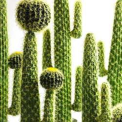 Nordic simulation yellow thorn cactus large decorative ornaments fake tropical desert green plants internet coffee window floor potted plants