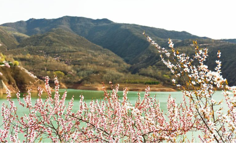 平凉2天+崆峒山+云崖寺国家森林公园+品牌酒店+随意景点