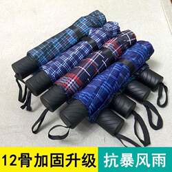 Paradise Umbrella 12-Rib Reinforced Double-Person Manual Household Folding Umbrella for Men and Women, Storm-Resistant Umbrella for Students