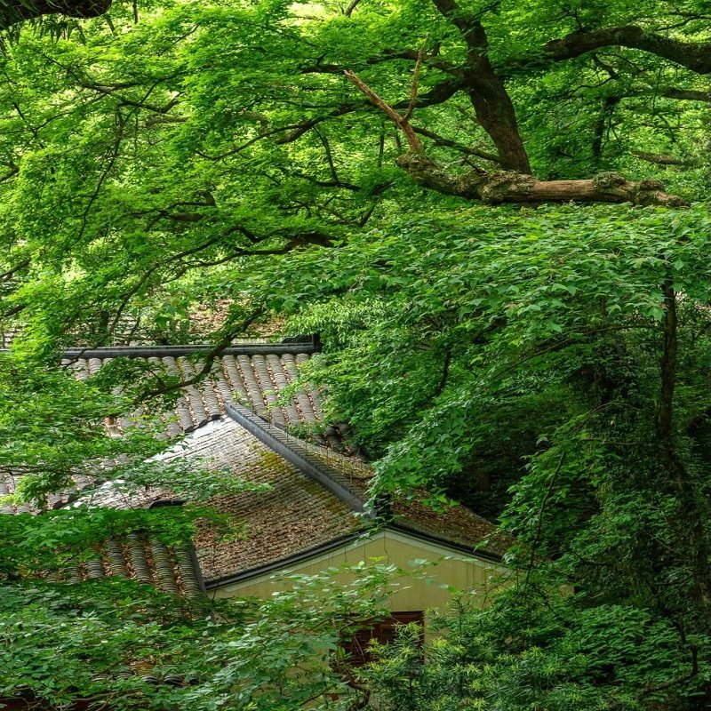 昆明出发南京自由行入住 南京漫心府酒店 游玩南京大屠杀纪念馆